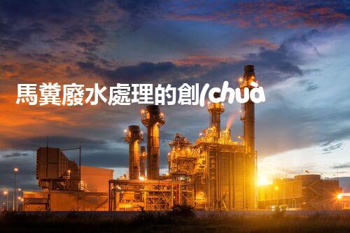 馬糞廢水處理的創(chuàng)新技術與應用？